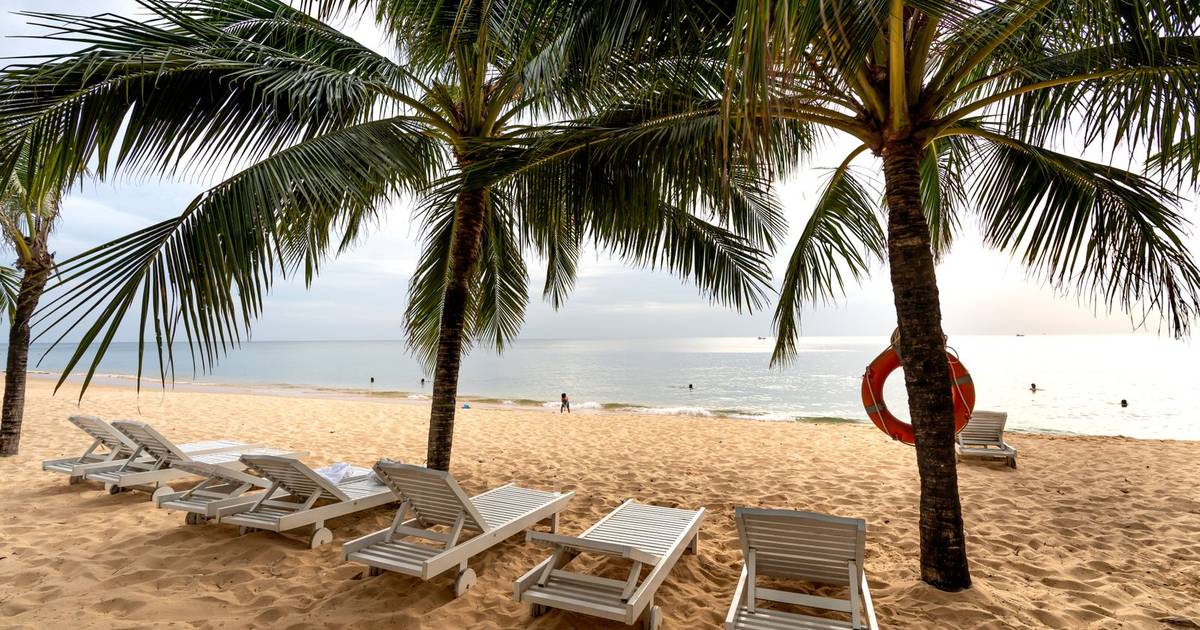Sun loungers and palm trees on a tropical beach
